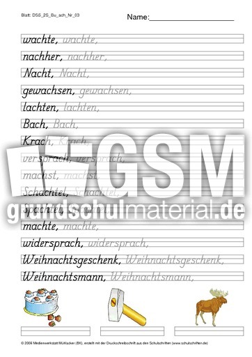 DSS_2S_Bu_ach_Nr_03.pdf
